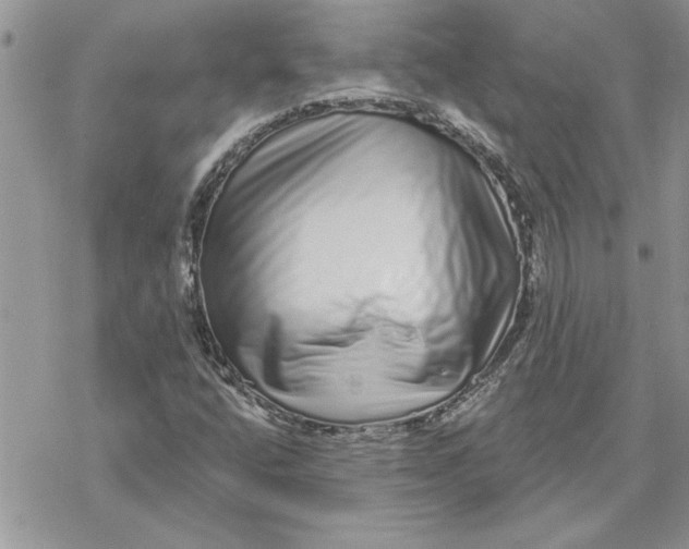 X0000069401400200606021645