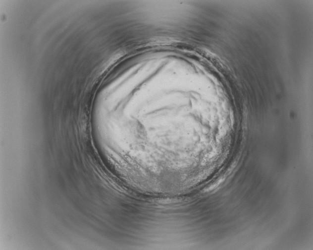 X0000069401401200606021645