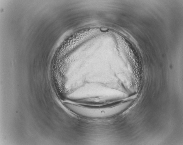 X0000069401429200606021645