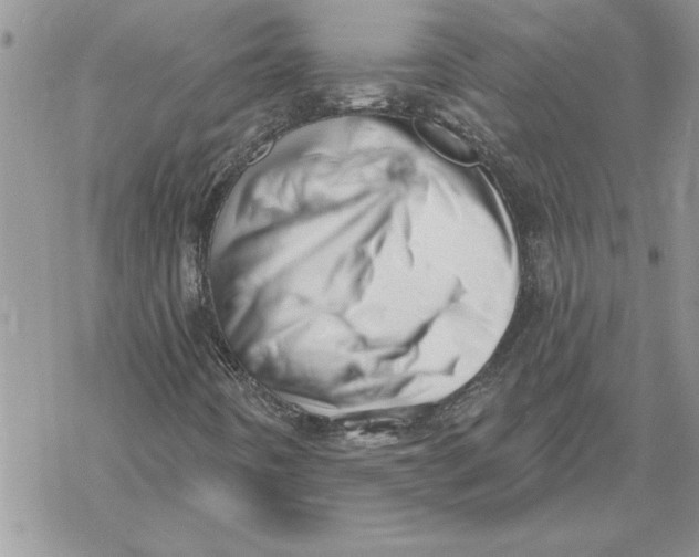 X0000069401442200606021645