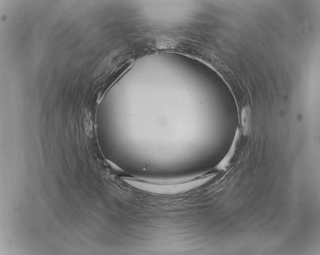 X0000069401443200606021645