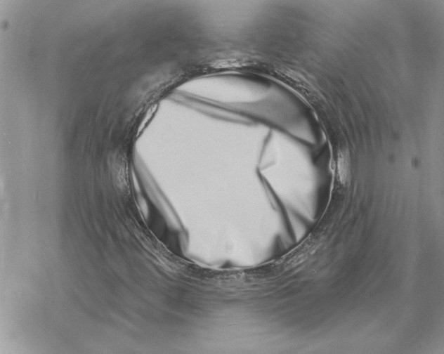 X0000069401444200606021645