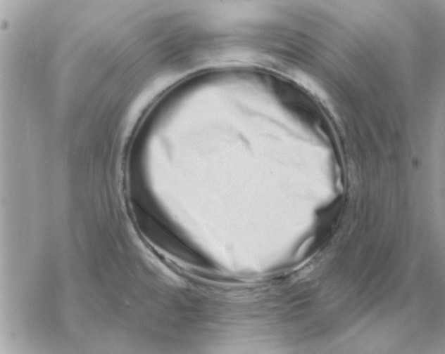 X0000069401480200606021644