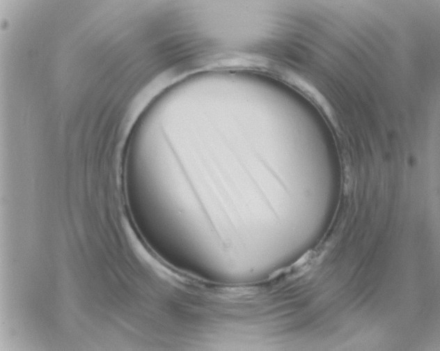 X0000069401483200606021644