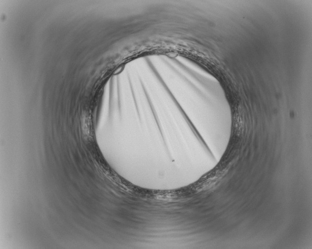 X0000069401490200606021643