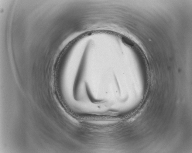 X0000069401525200606021644
