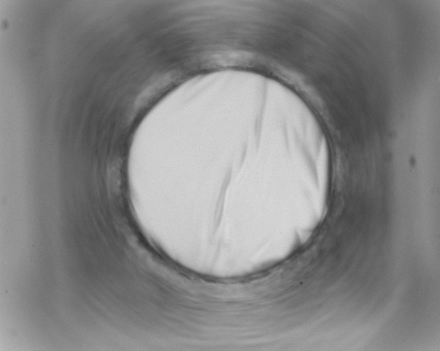 X0000069400010200606091753