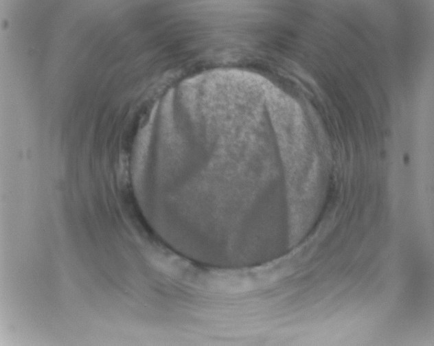 X0000069400029200606091753