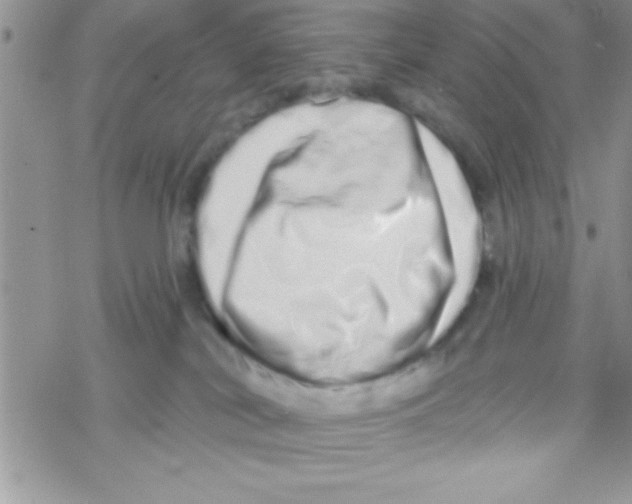 X0000069400038200606091752