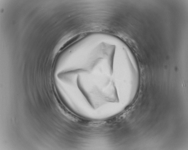 X0000069400051200606091752