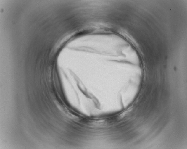 X0000069400058200606091752