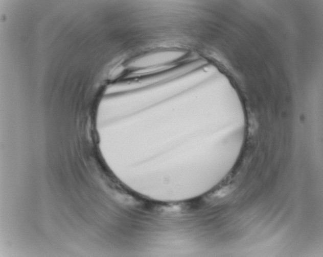 X0000069400068200606091752