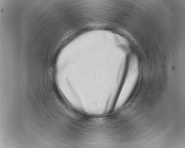 X0000069400071200606091752