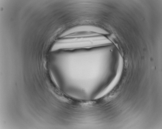 X0000069400072200606091752