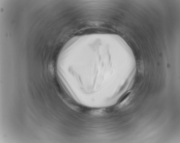 X0000069400086200606091752