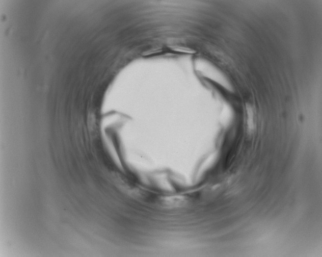 X0000069400087200606091752