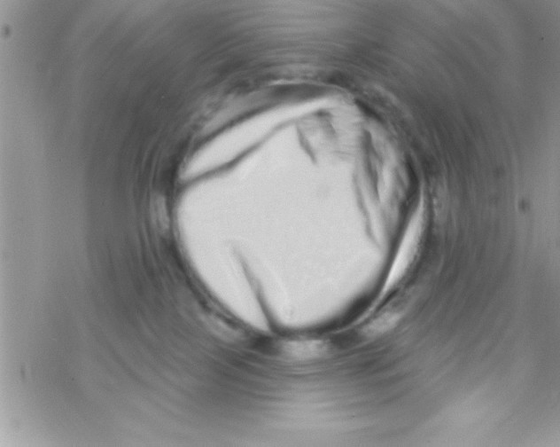 X0000069400089200606091752