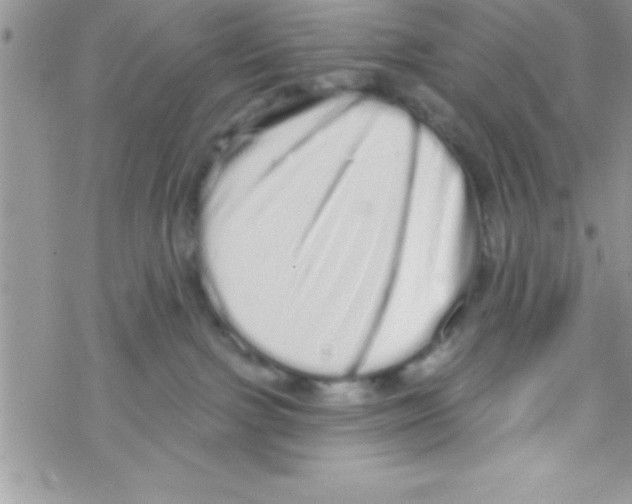 X0000069400091200606091752
