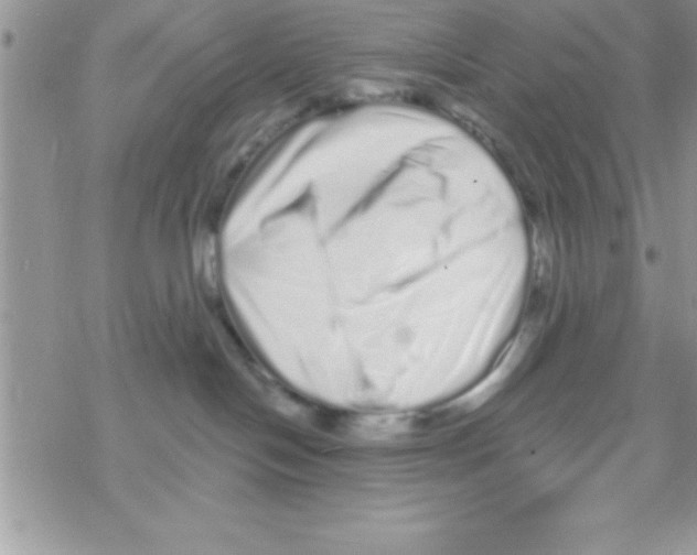 X0000069400094200606091752