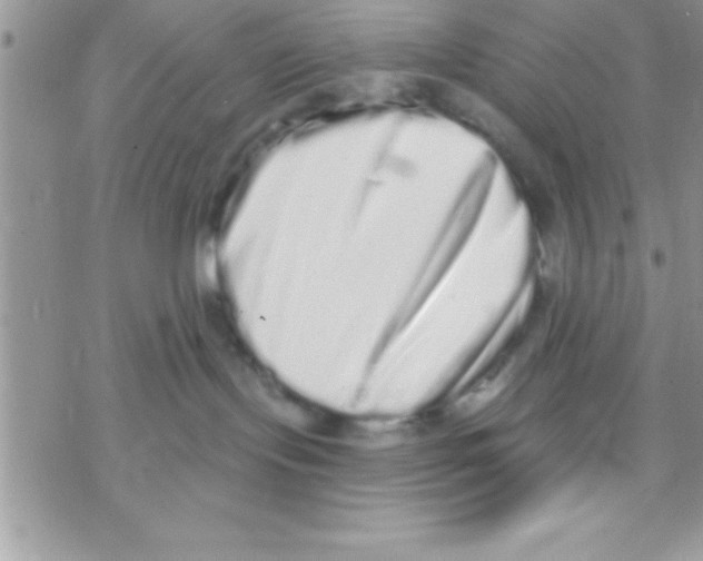 X0000069400095200606091752