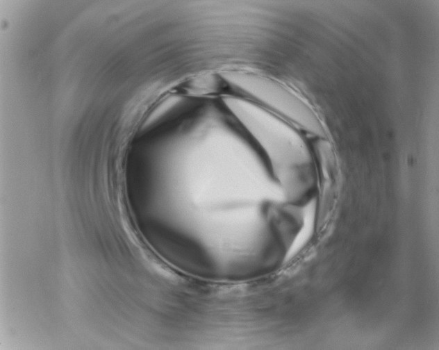 X0000069400097200606091751
