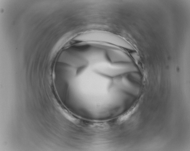 X0000069400101200606091751