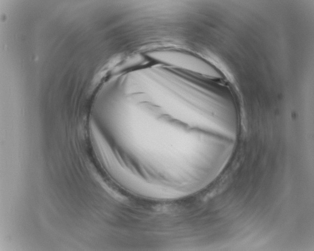 X0000069400105200606091751