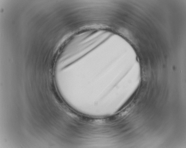 X0000069400111200606091751