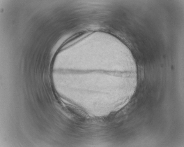 X0000069400147200606091750