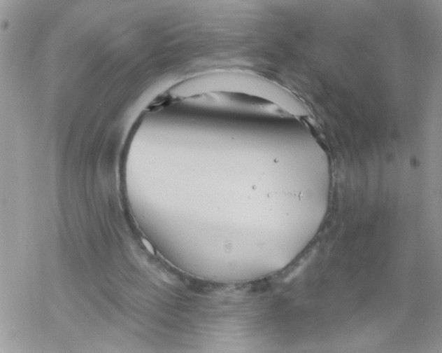 X0000069400148200606091750