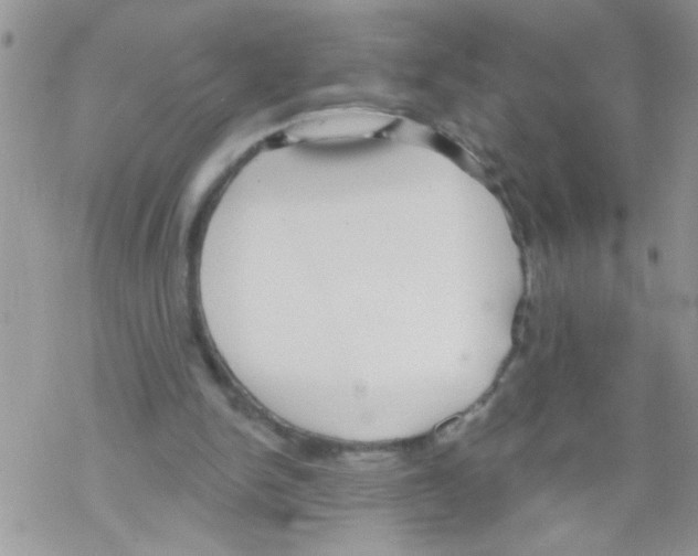 X0000069400150200606091750