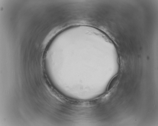 X0000069400151200606091750