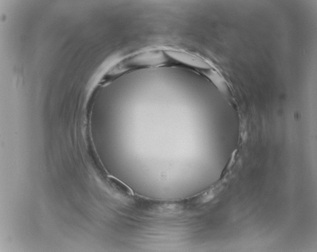 X0000069400152200606091750