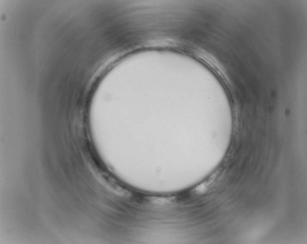 X0000069400155200606091750