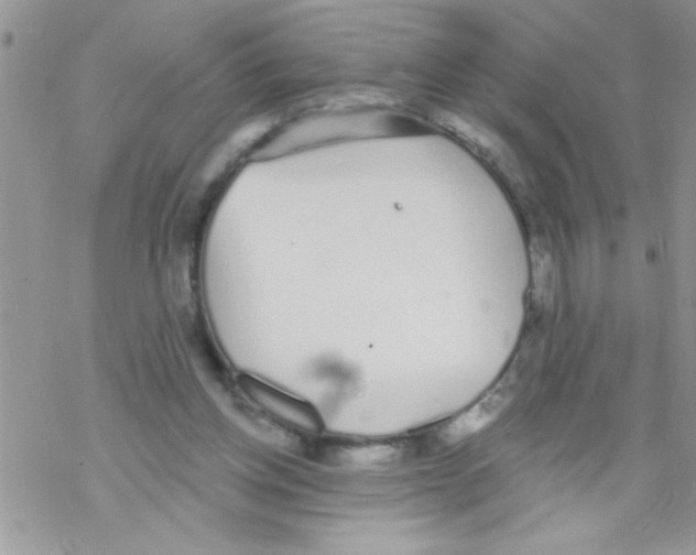 X0000069400158200606091750