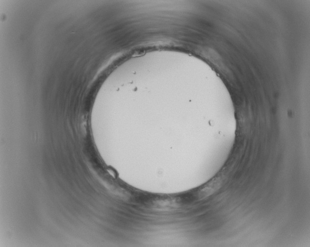 X0000069400160200606091750