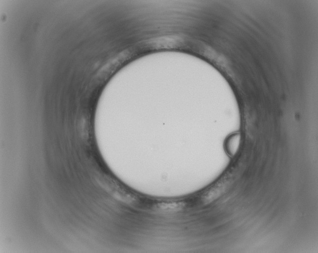 X0000069400161200606091750