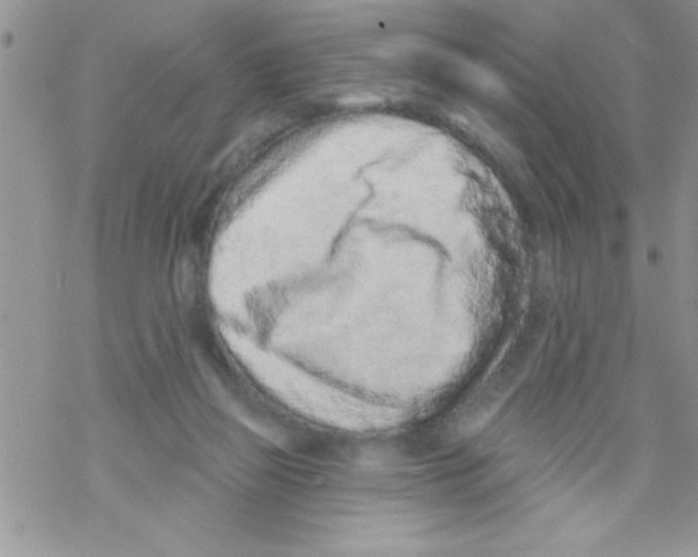 X0000069400165200606091750