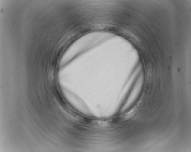 X0000069400166200606091750