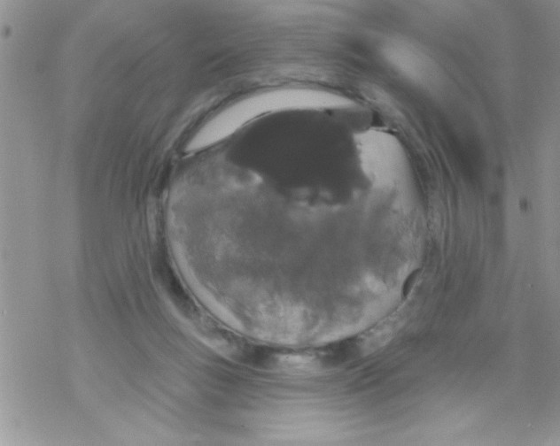 X0000069400167200606091750