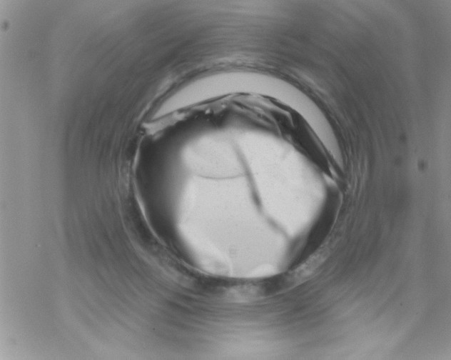 X0000069400168200606091750