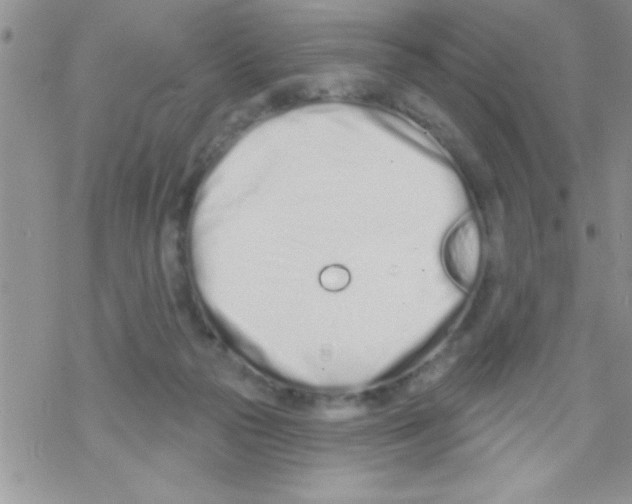 X0000069400169200606091750