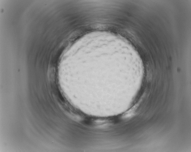 X0000069400171200606091750