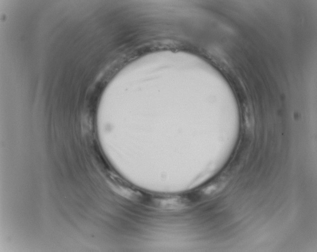 X0000069400173200606091750