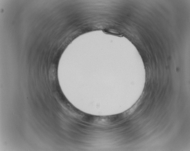 X0000069400174200606091750