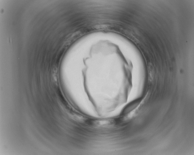 X0000069400175200606091750