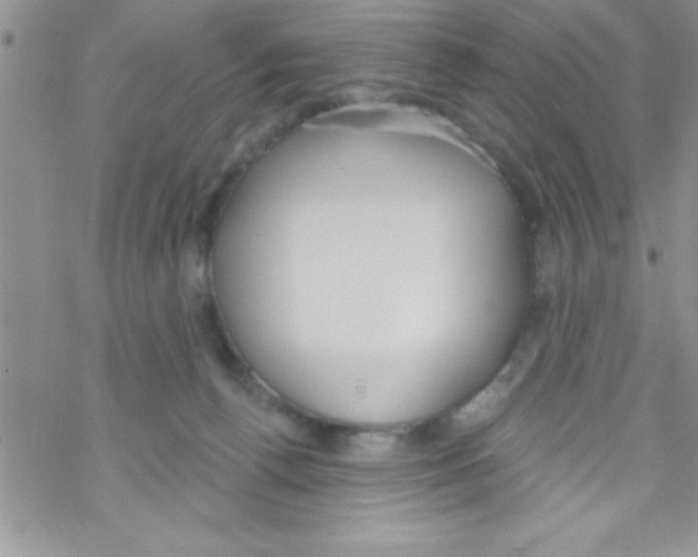 X0000069400176200606091750