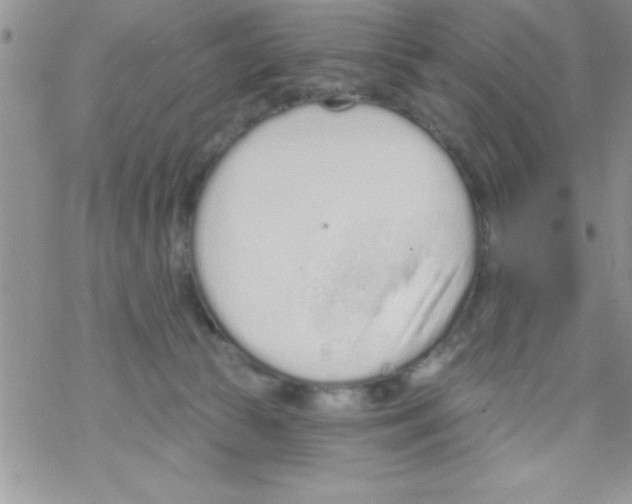 X0000069400177200606091750