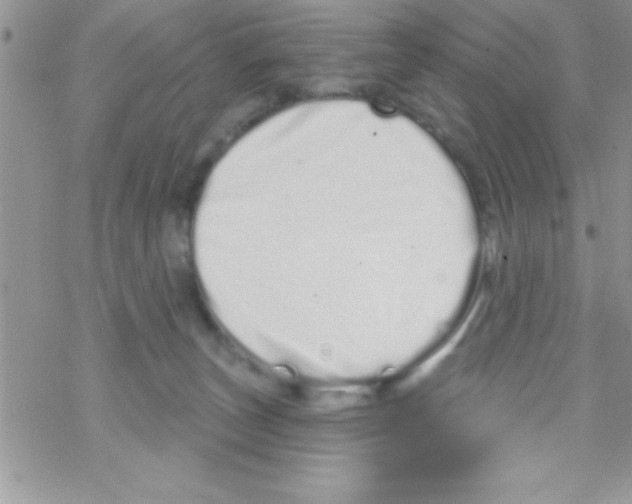 X0000069400179200606091750