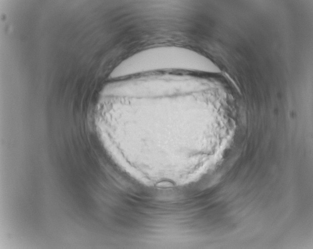 X0000069400185200606091751